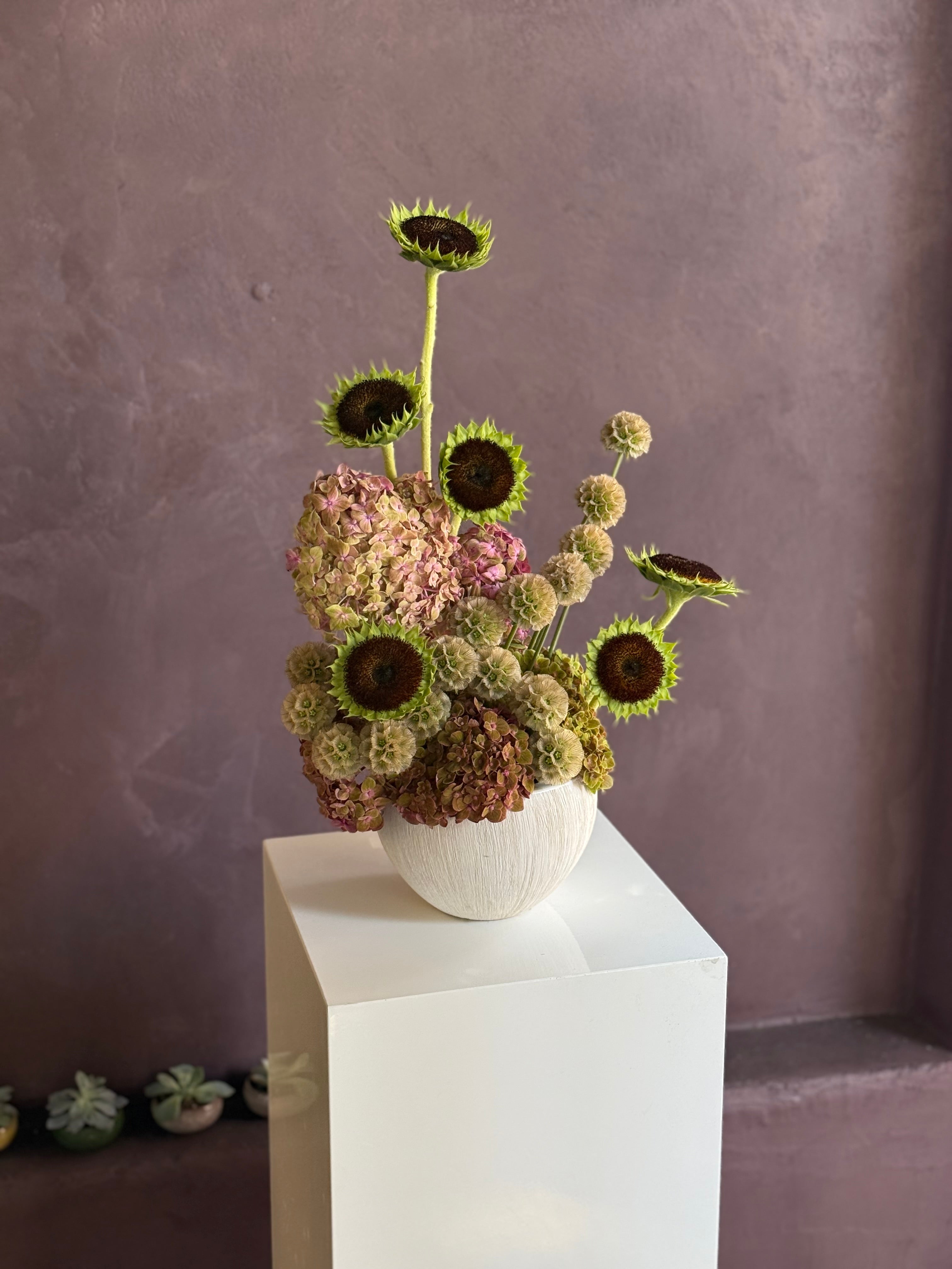 Cosmos - Medium Arrangement