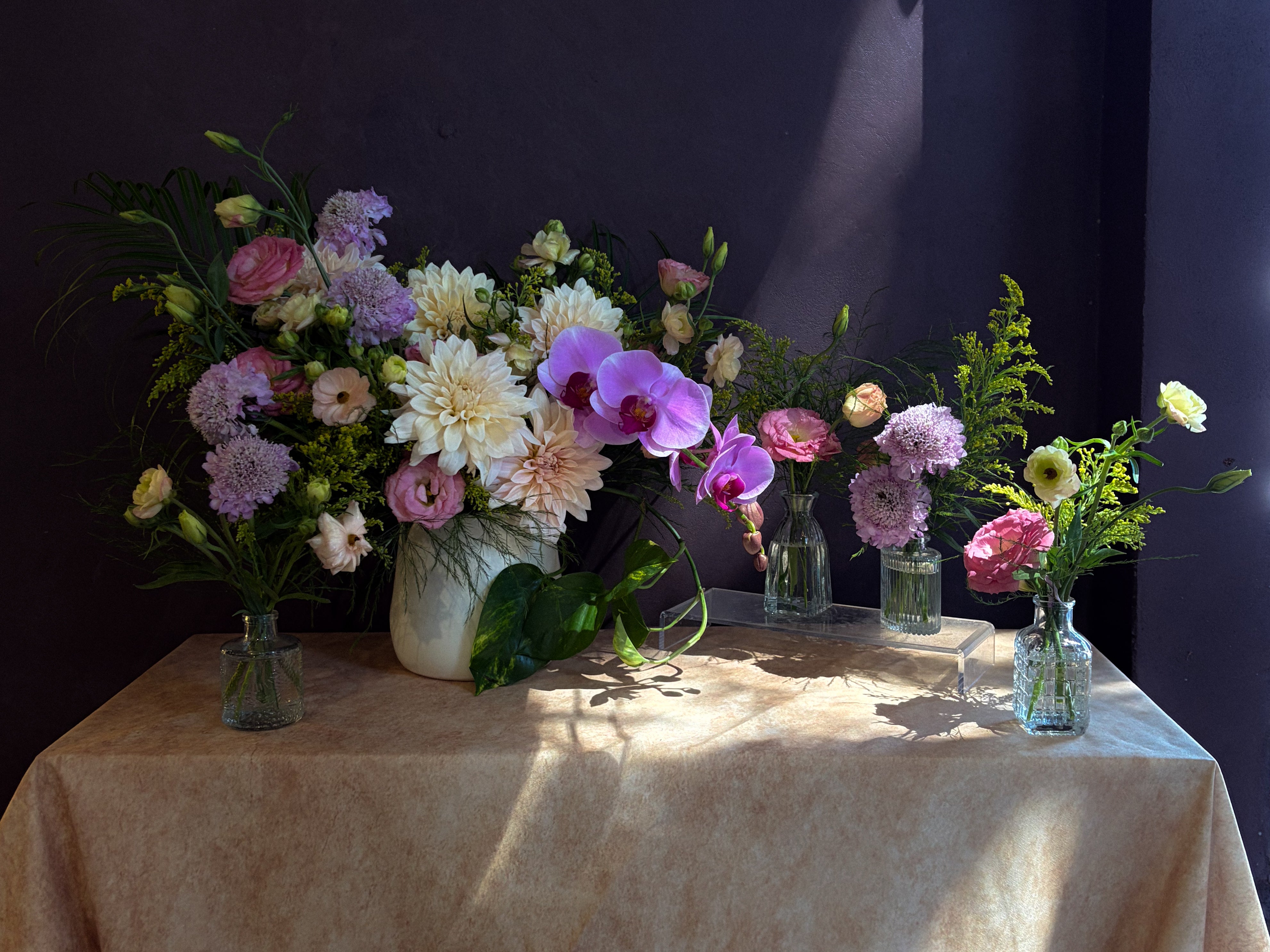 Nysa Botanica