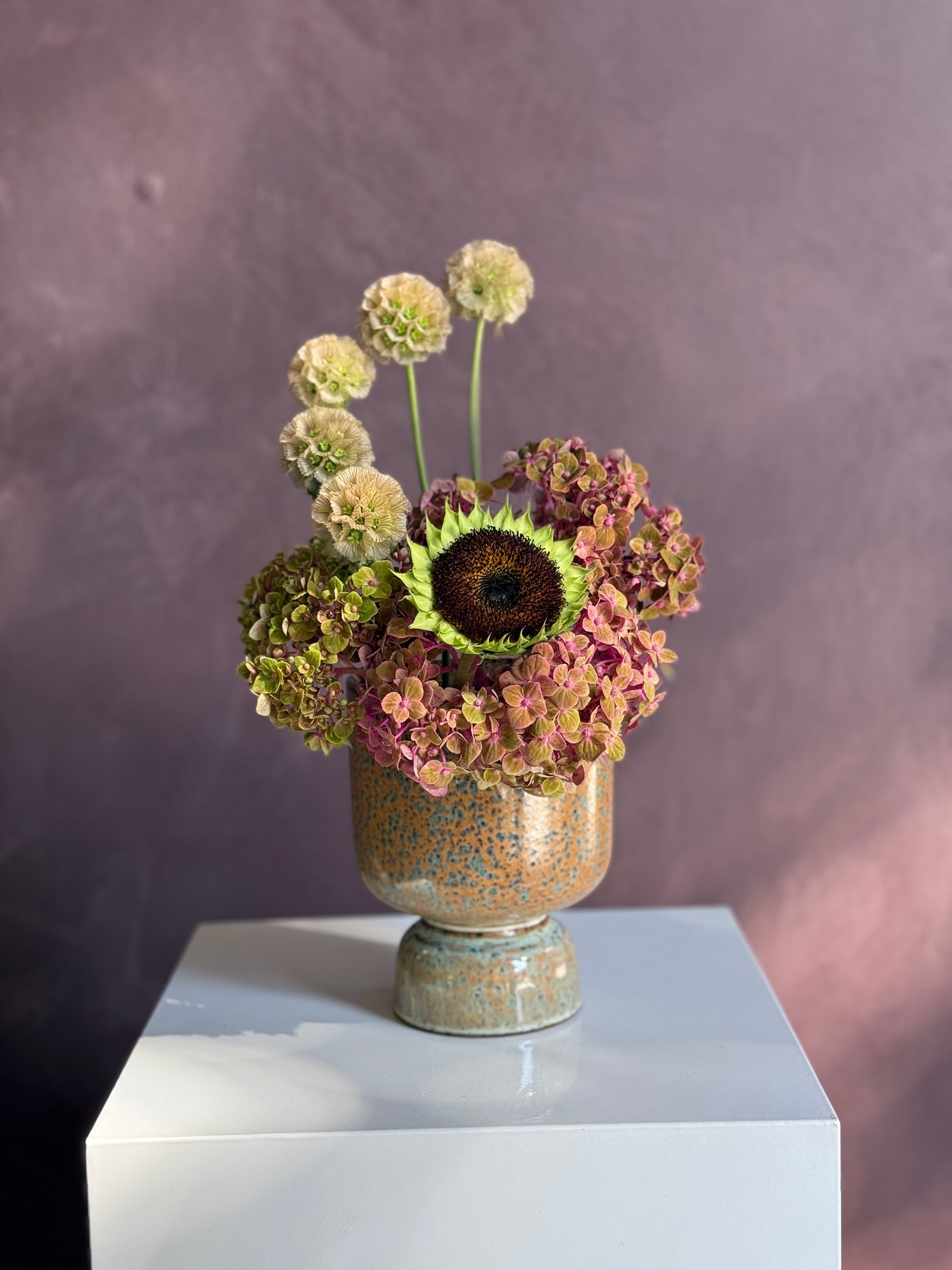 Cosmos - Small Arrangement