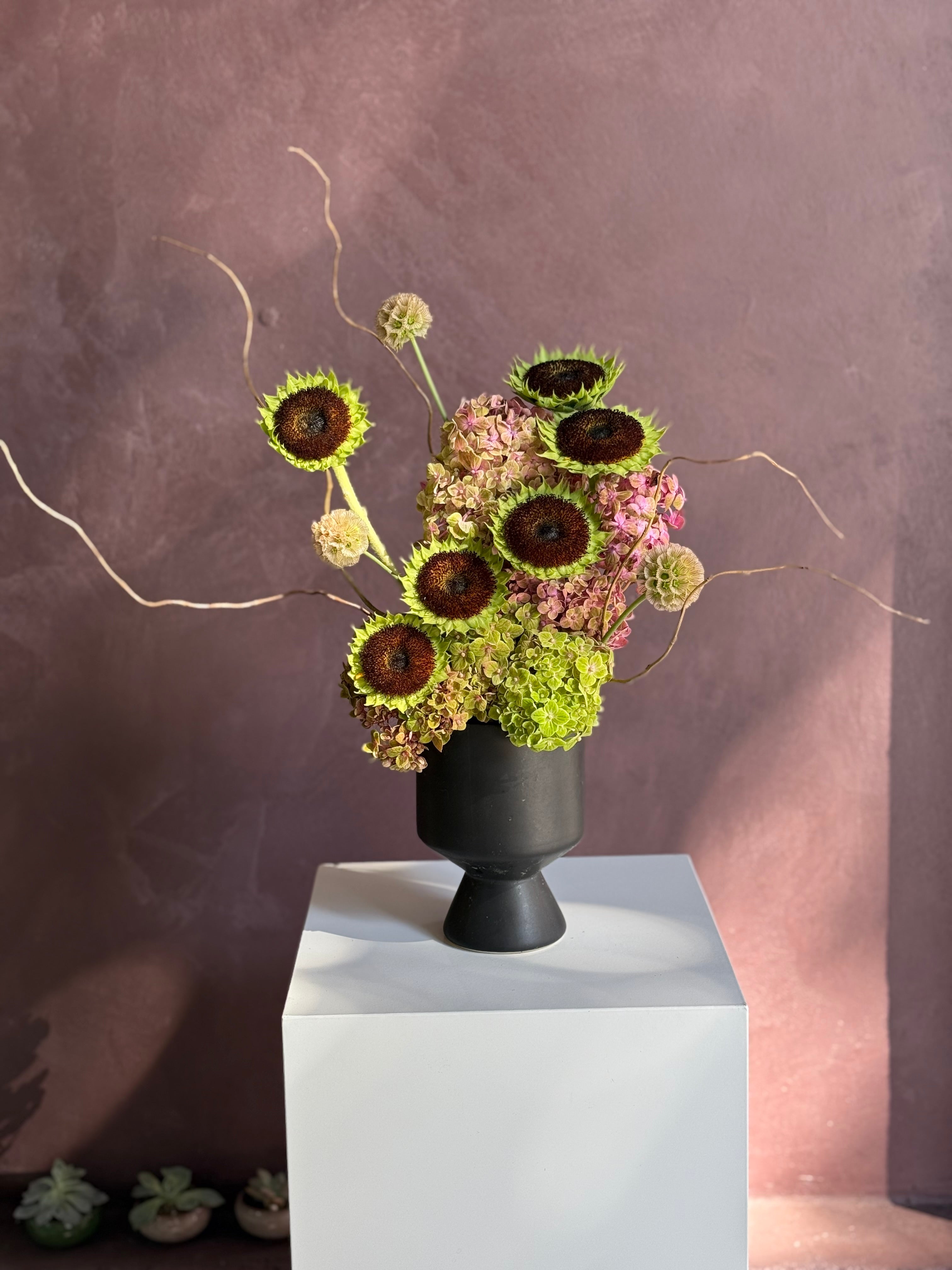 Cosmos - Medium Arrangement