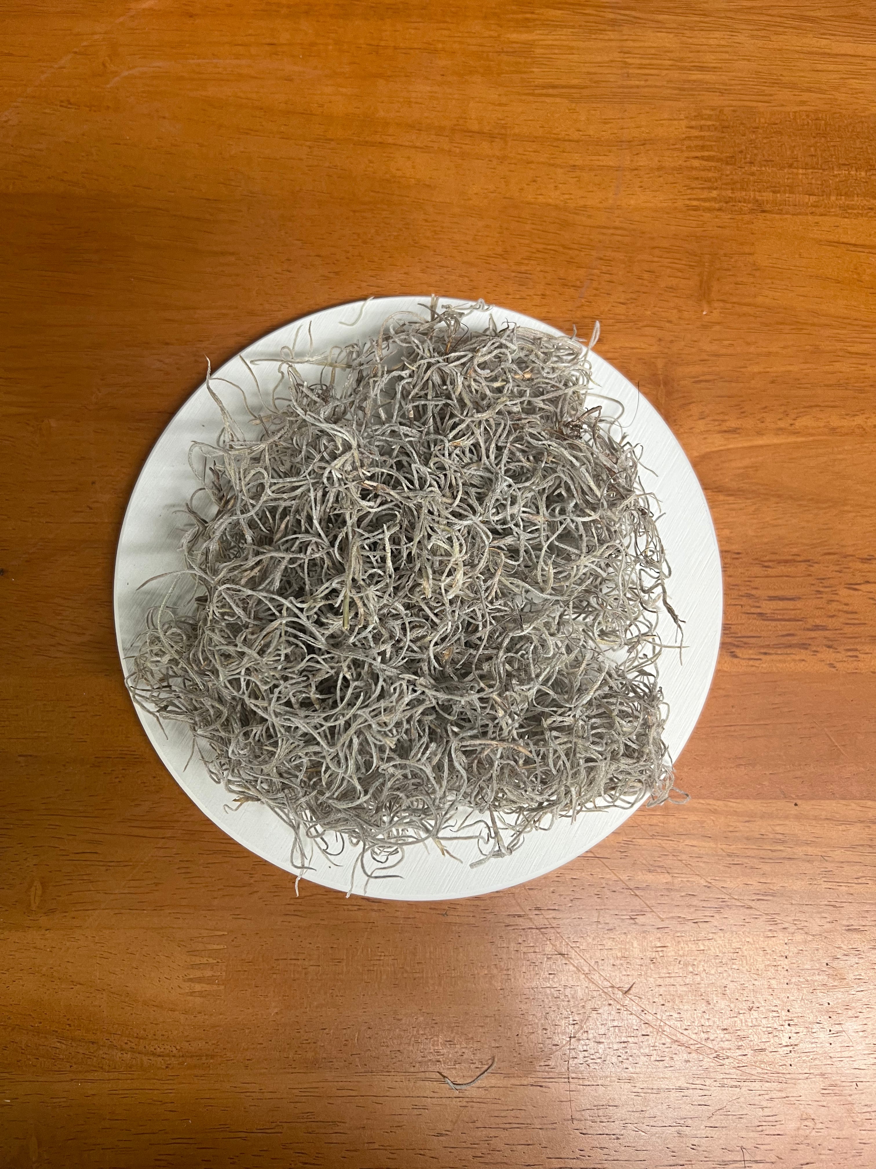 Decorative Moss – Spanish