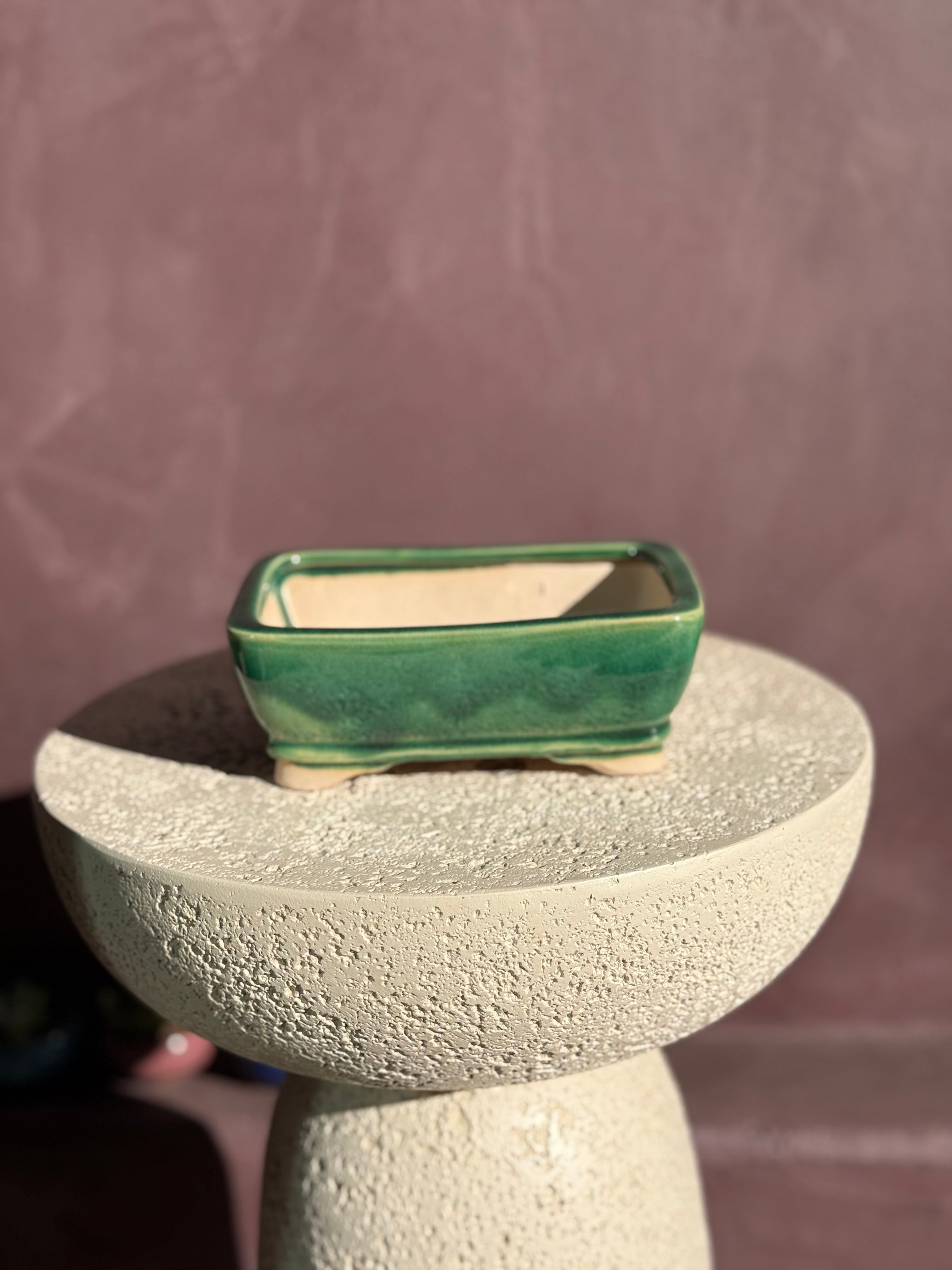 Jade Green Bonsai Pot Rectangular - 6"