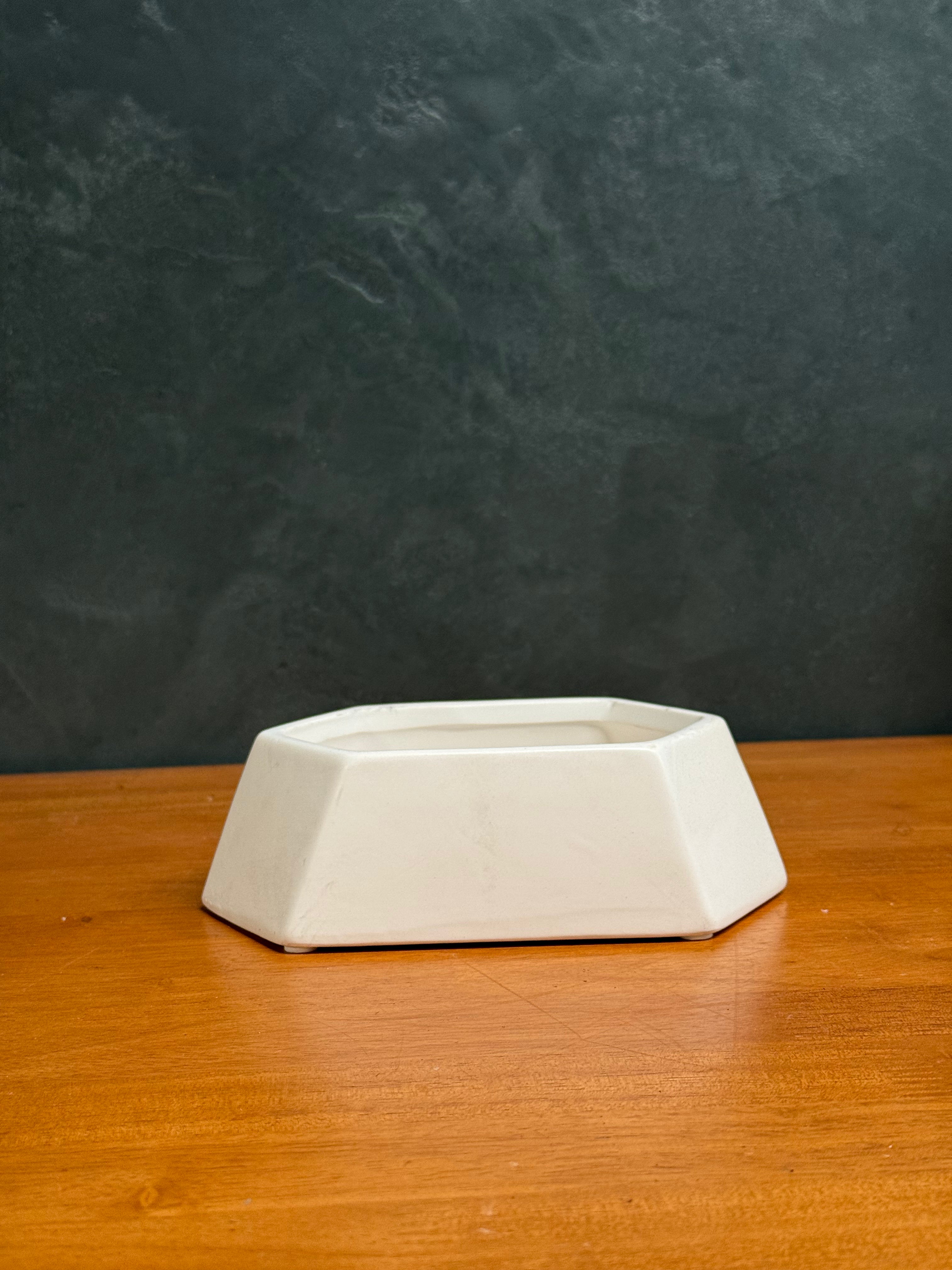 Modern Geometry Shallow Ceramic Succulent Pot (without drainage) - 4"