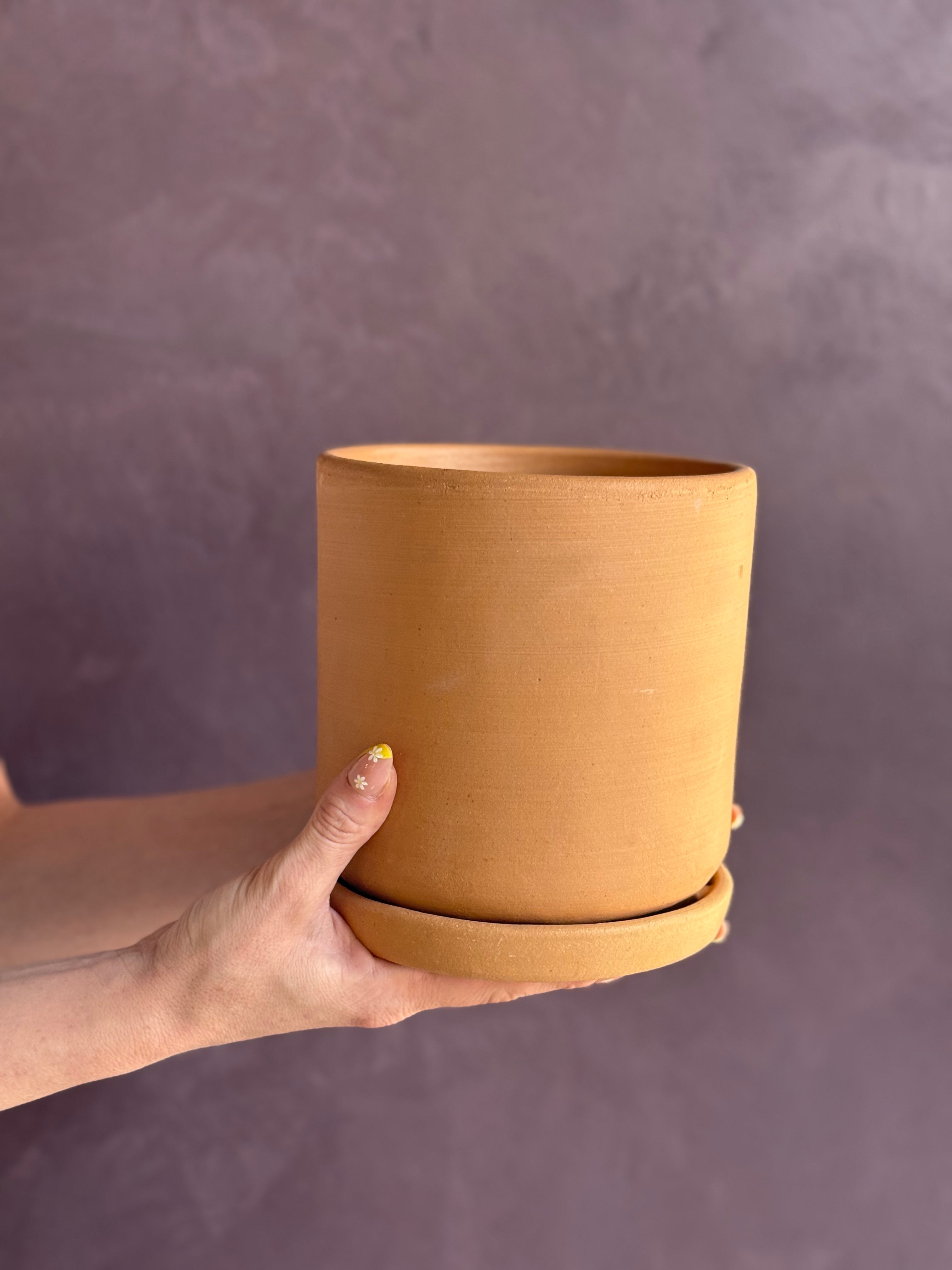 Terracotta Pot 6"