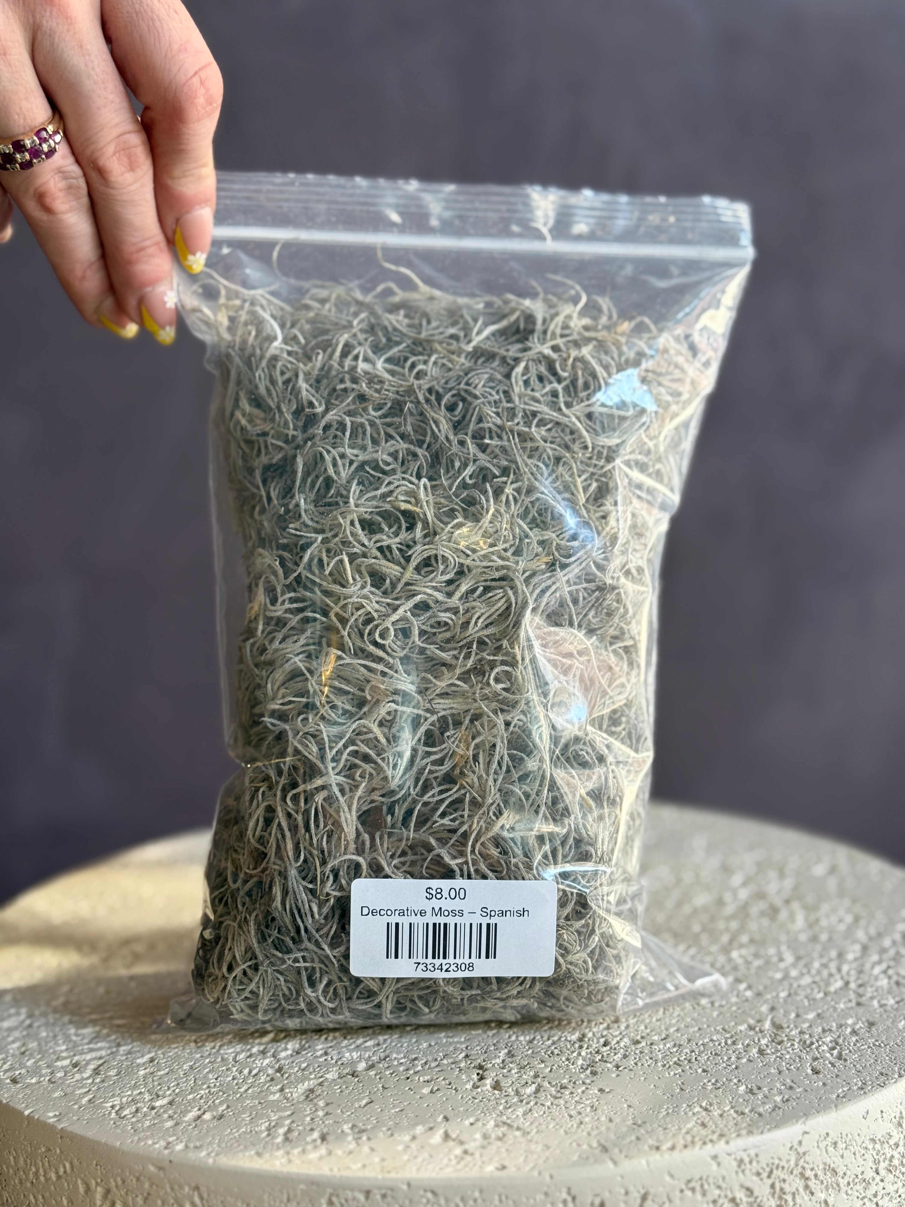 Decorative Moss – Spanish