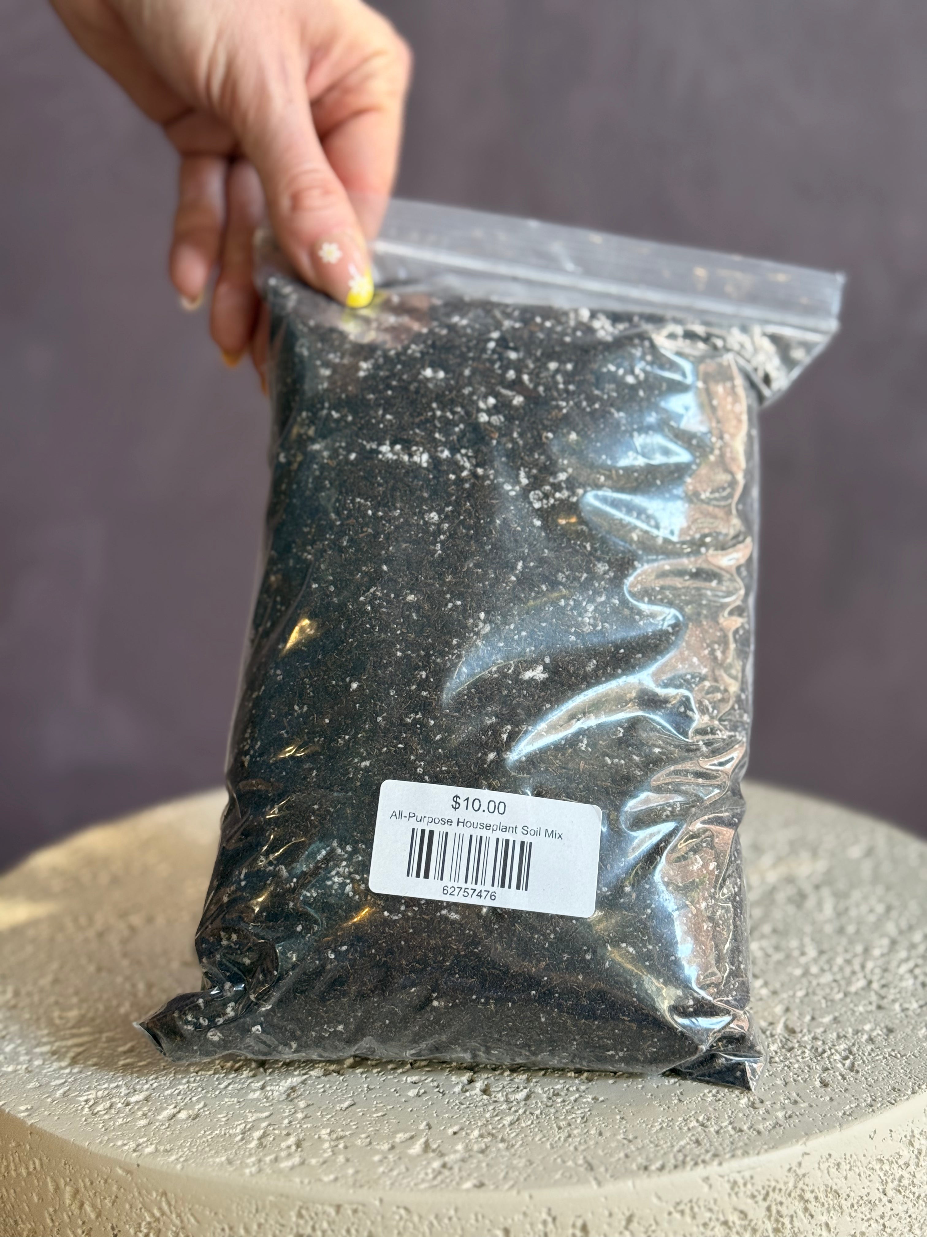 All-Purpose Houseplant Soil Mix