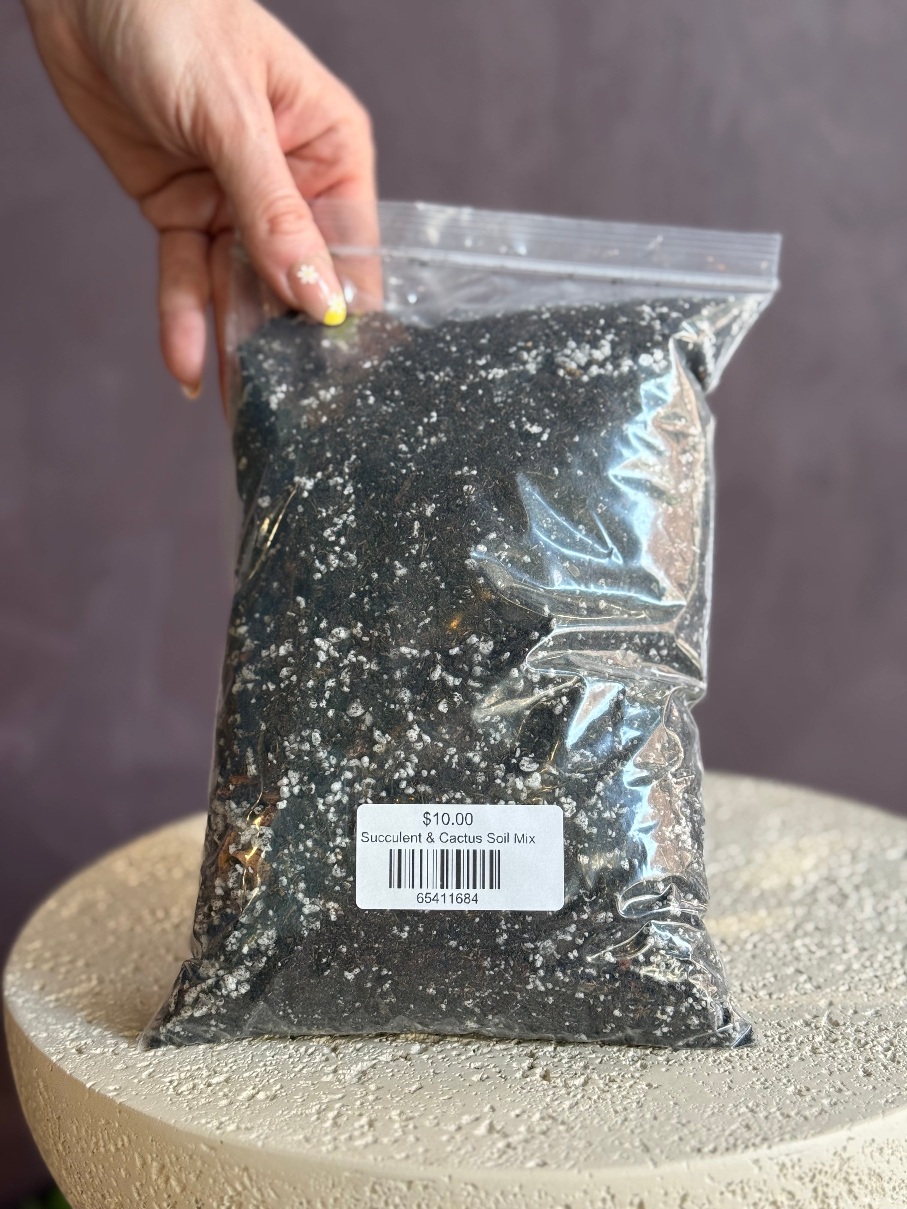 Succulent & Cactus Soil Mix