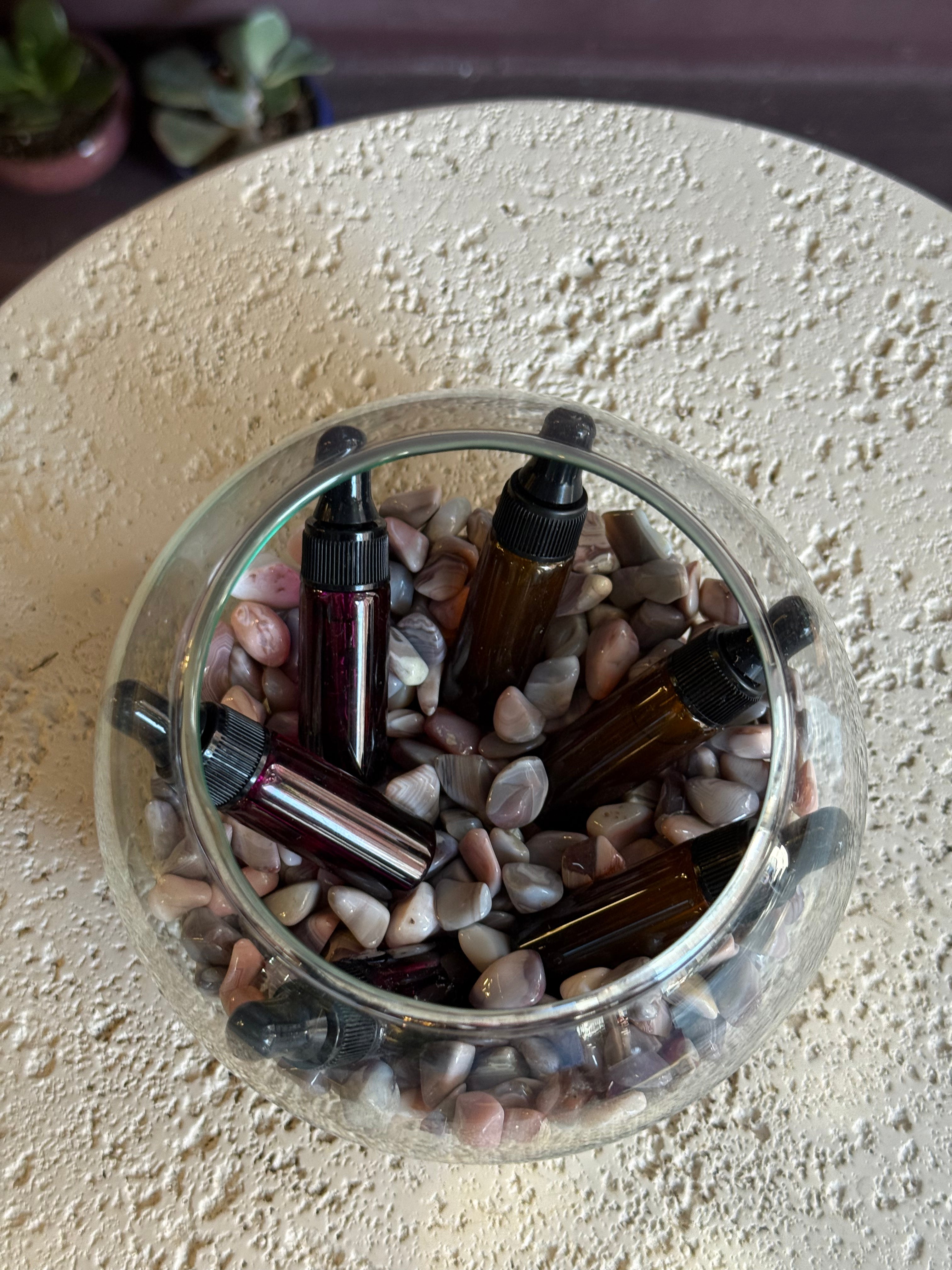 Plant Vitamin - Repotting/Stress Support