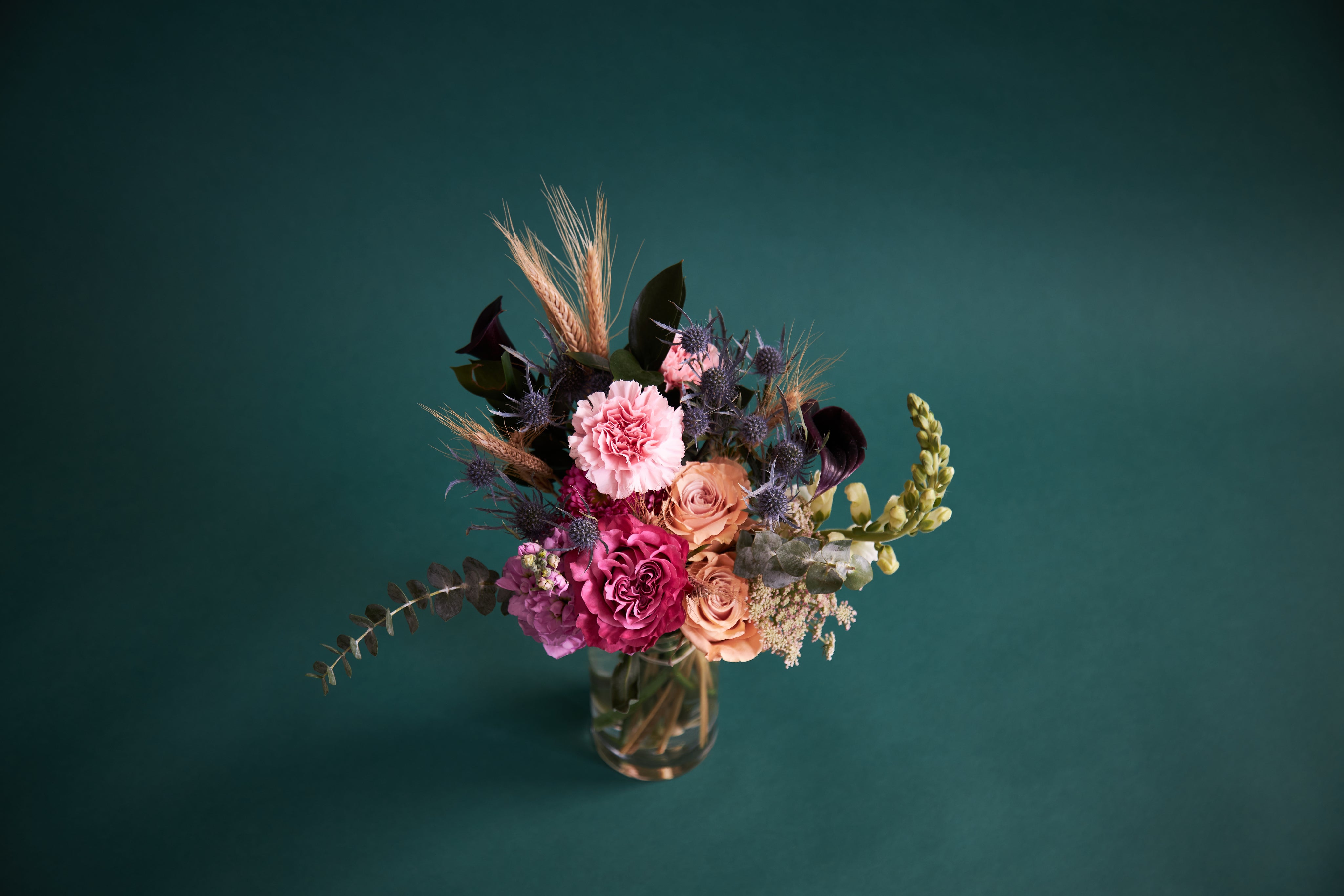 Nysa Botanica