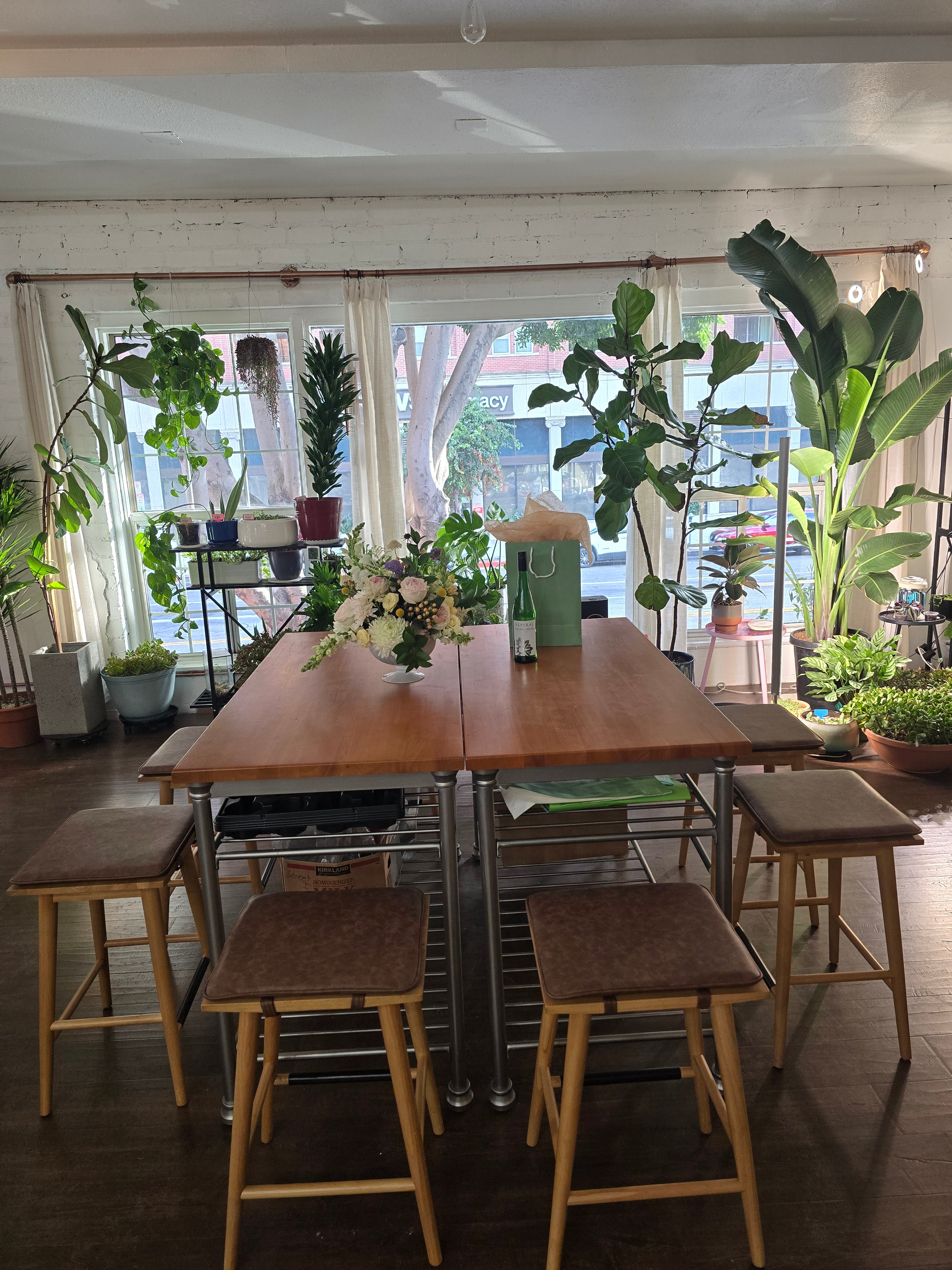 Nysa Botanica
