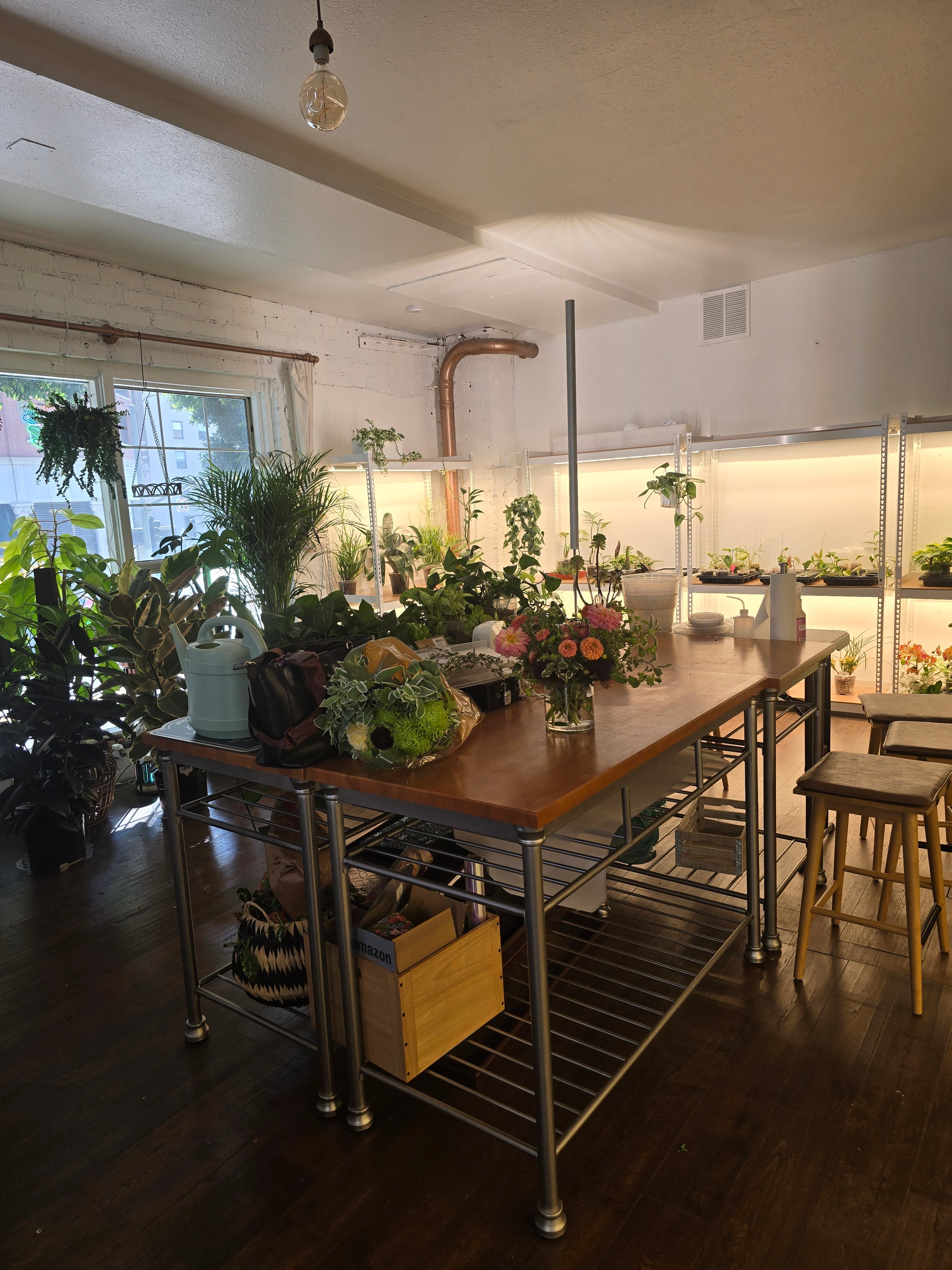 Nysa Botanica