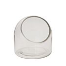 Warner Terrarium - 5.75"