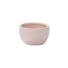 Lottie Bowl - 4.25" Pink