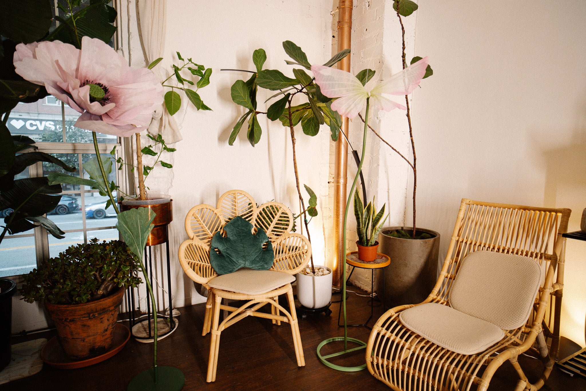 Nysa Botanica