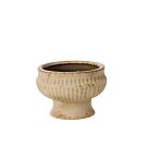 Cadmus Compote - 6.25"