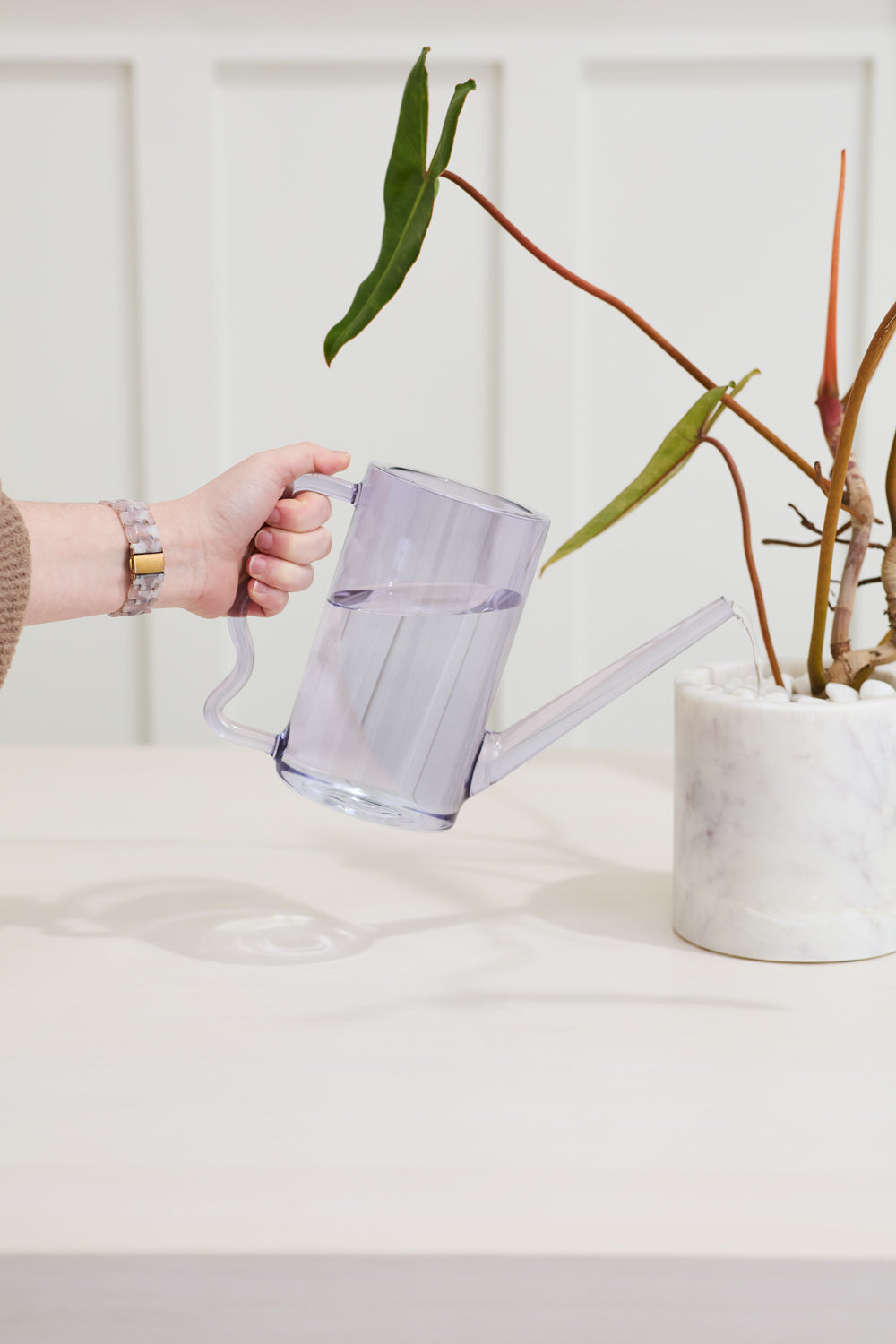 Agua Watering Can