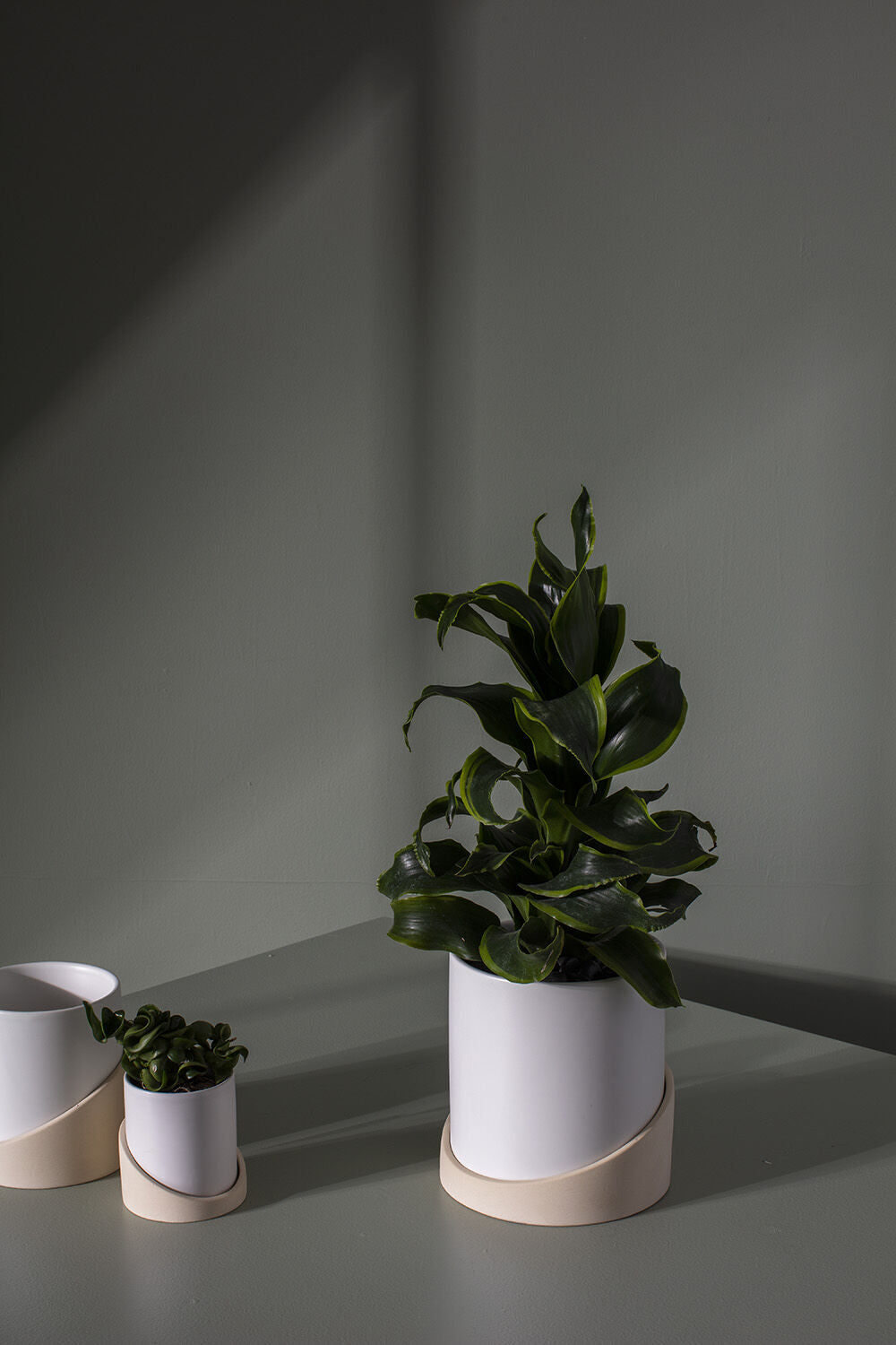Brisbane Pot With Saucer - 6"