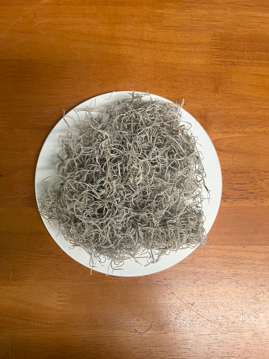 Decorative Moss – Spanish