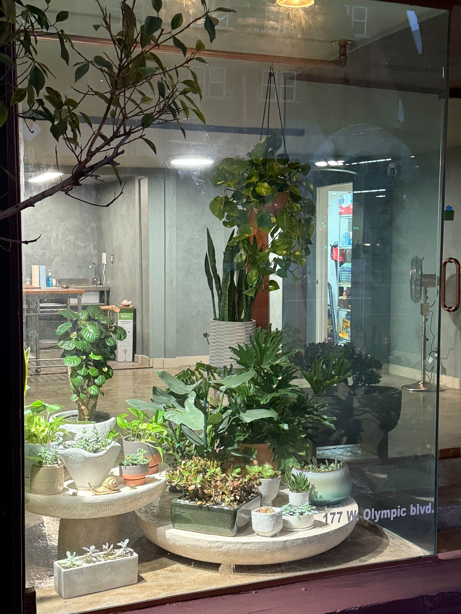 Nysa Botanica