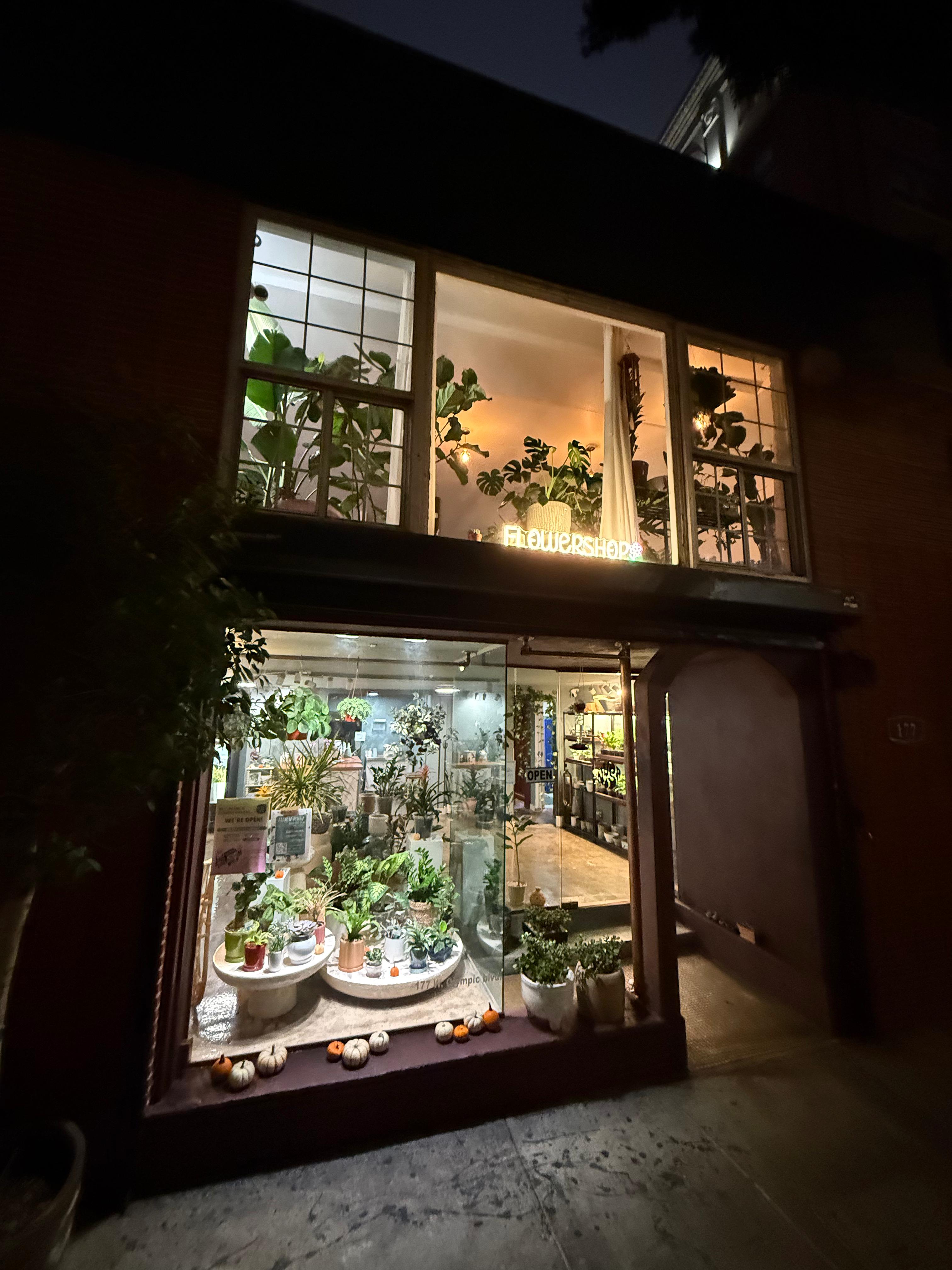 Nysa Botanica