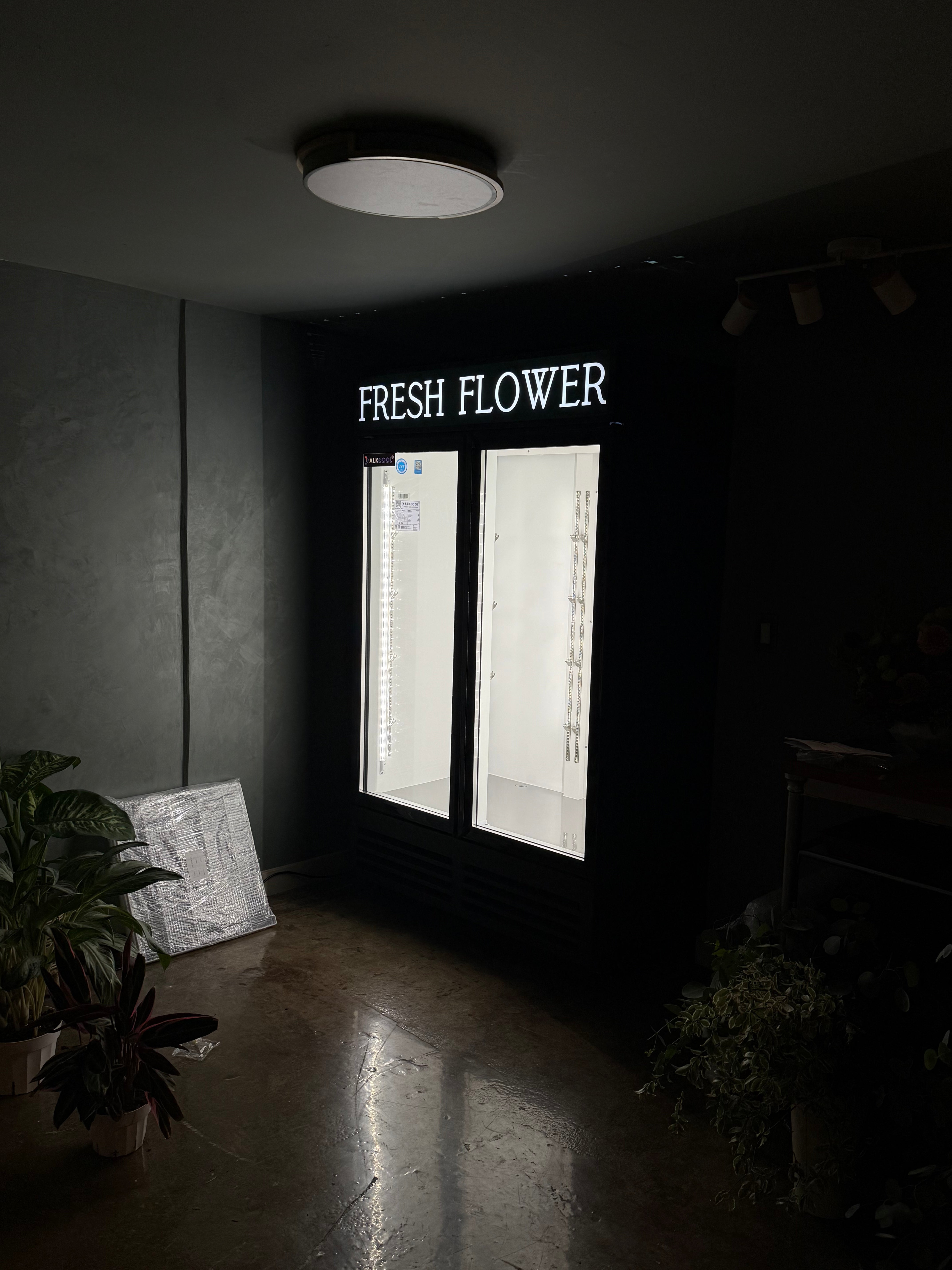 Nysa Botanica