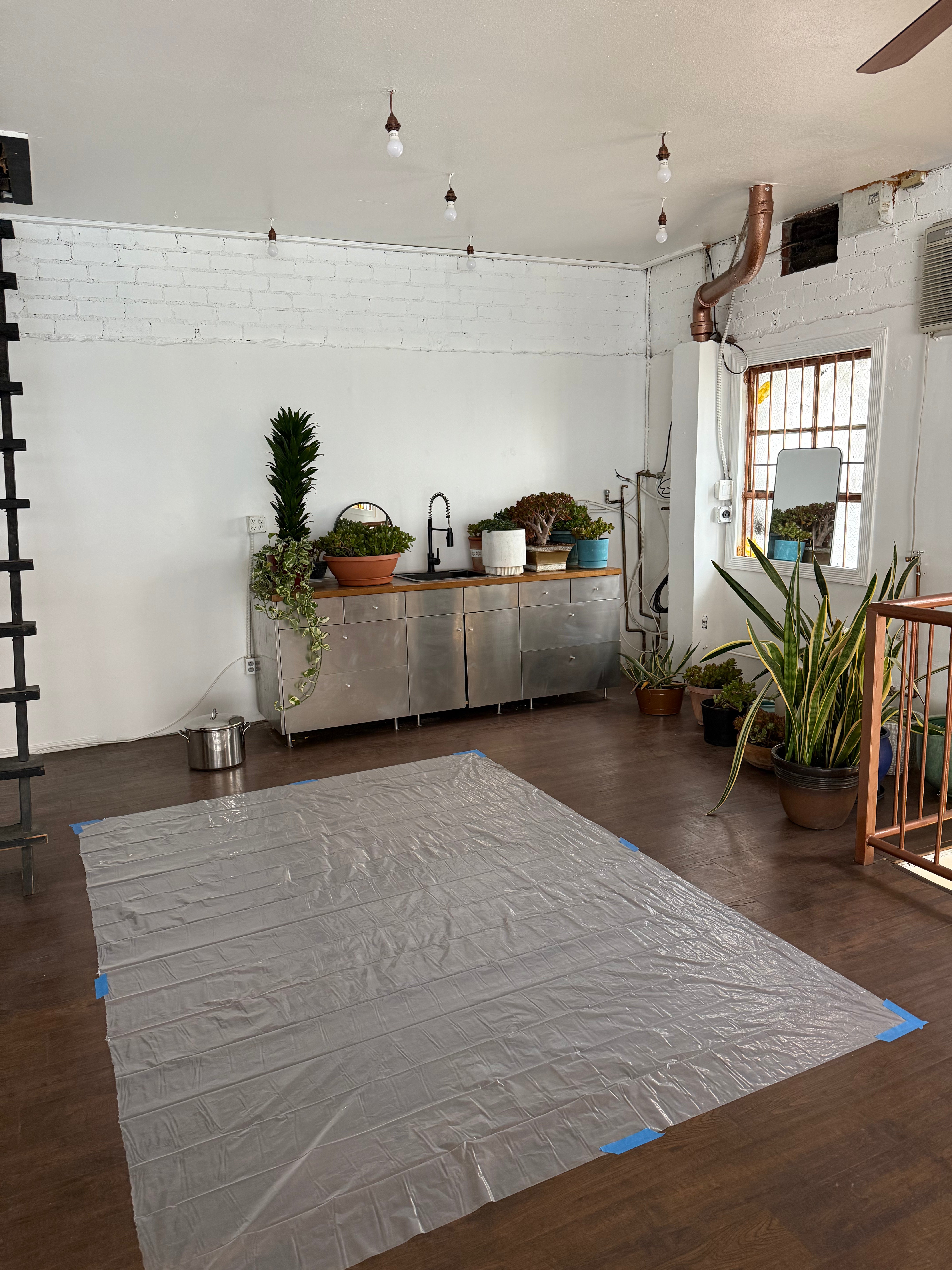 Nysa Botanica