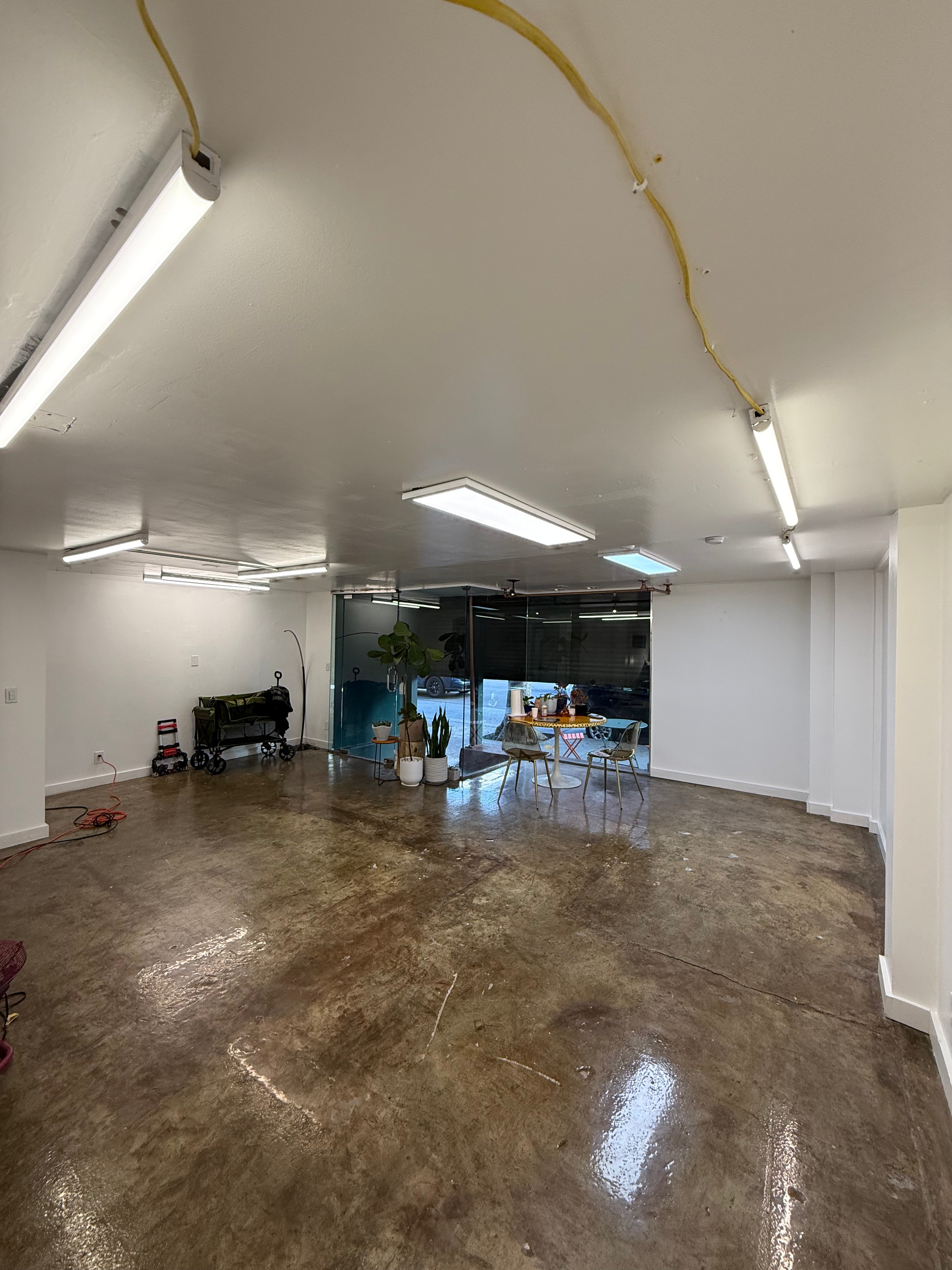 Nysa Botanica