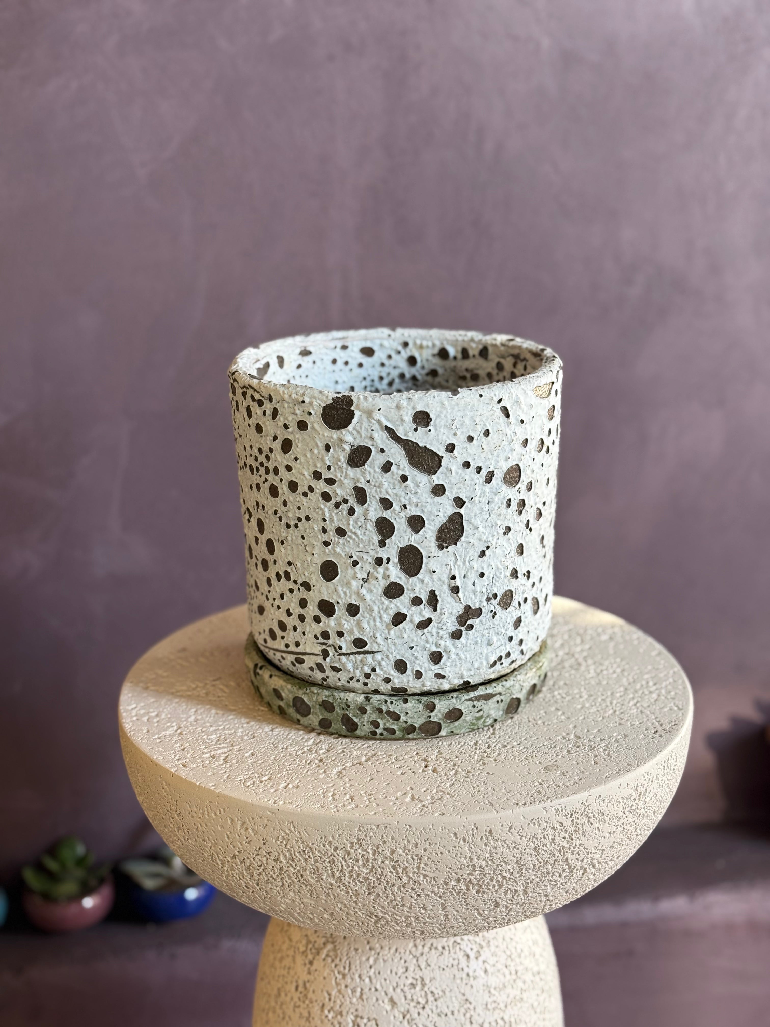 Ocean White/Green Pot - 6"