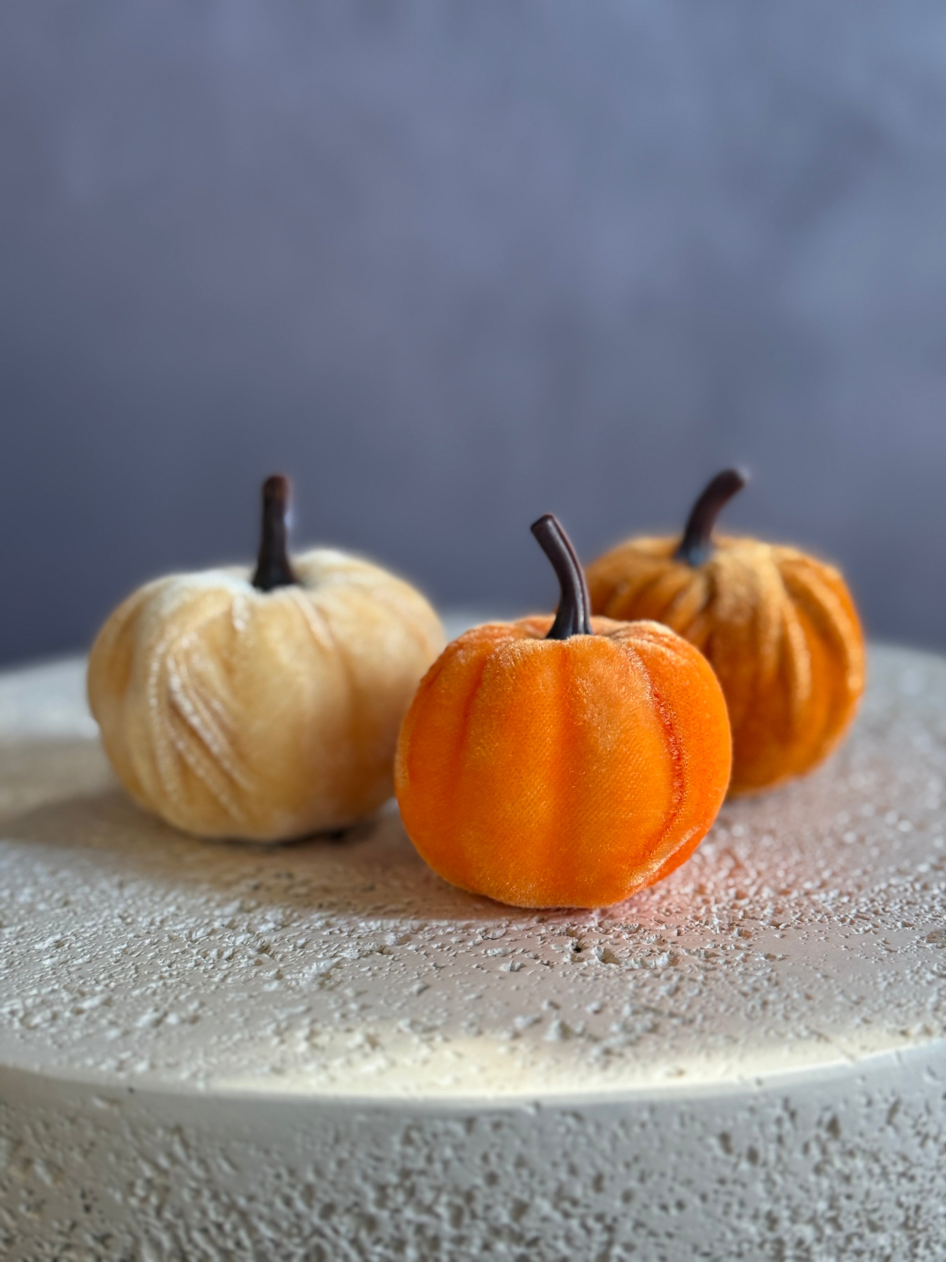 Small Pumpkins for Decor