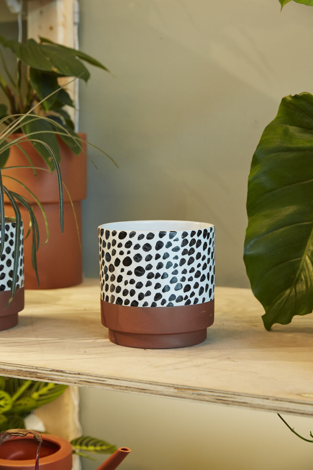 Lassen Pot 6"