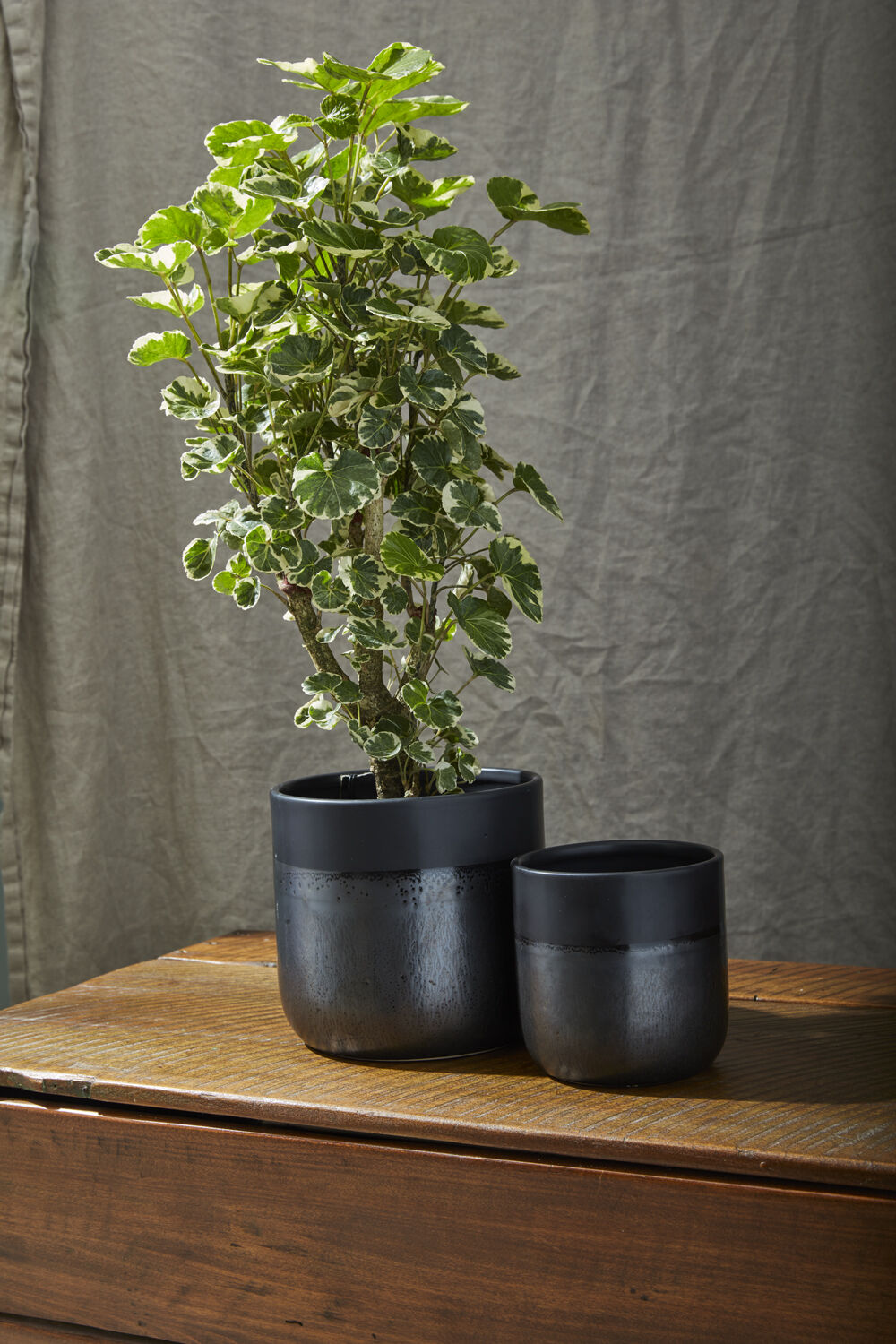 Lennon Pot - 6.5"