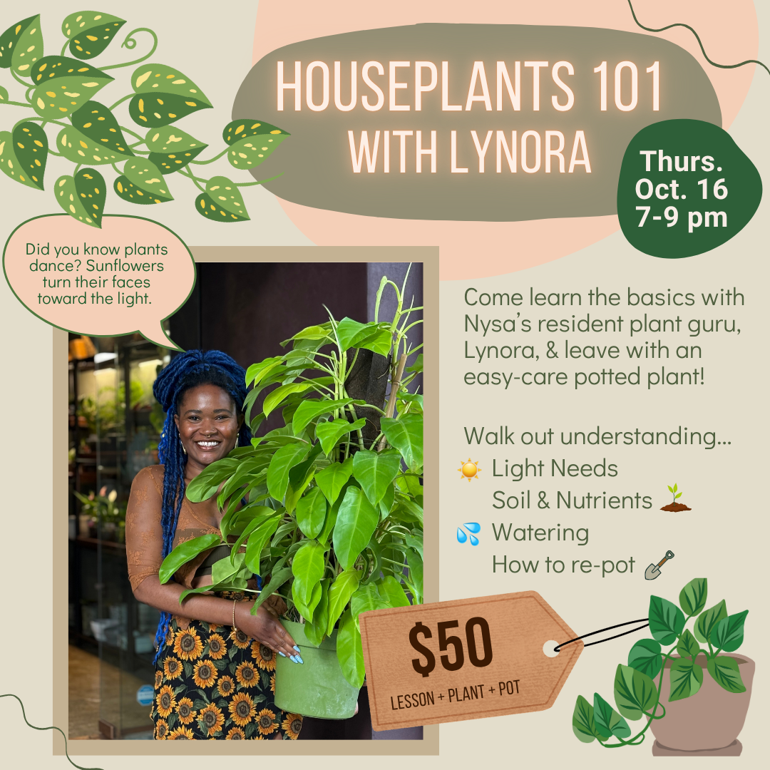 Houseplants 101 with Lynora