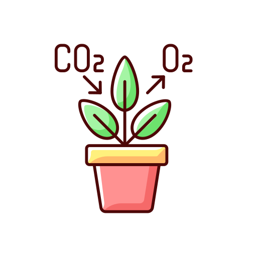 Air Purifying