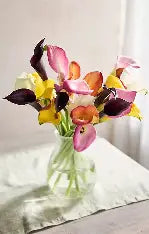Calla Lily
