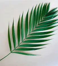 Emerald Palm Frond - Greenery