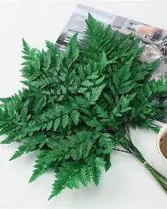 Fern - Greenery