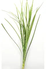 Lily Leaf - Greenery