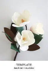 Magnolia - Flower
