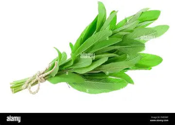 Sage